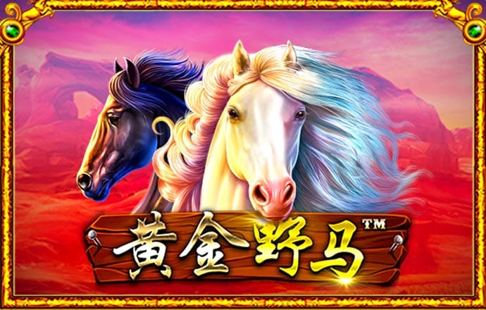 威九国际18
